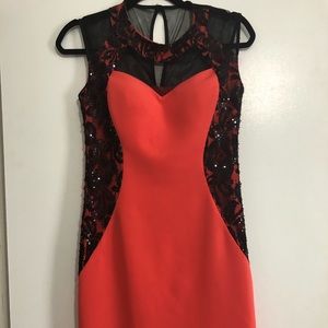 Salmon Bodycon dress with lace